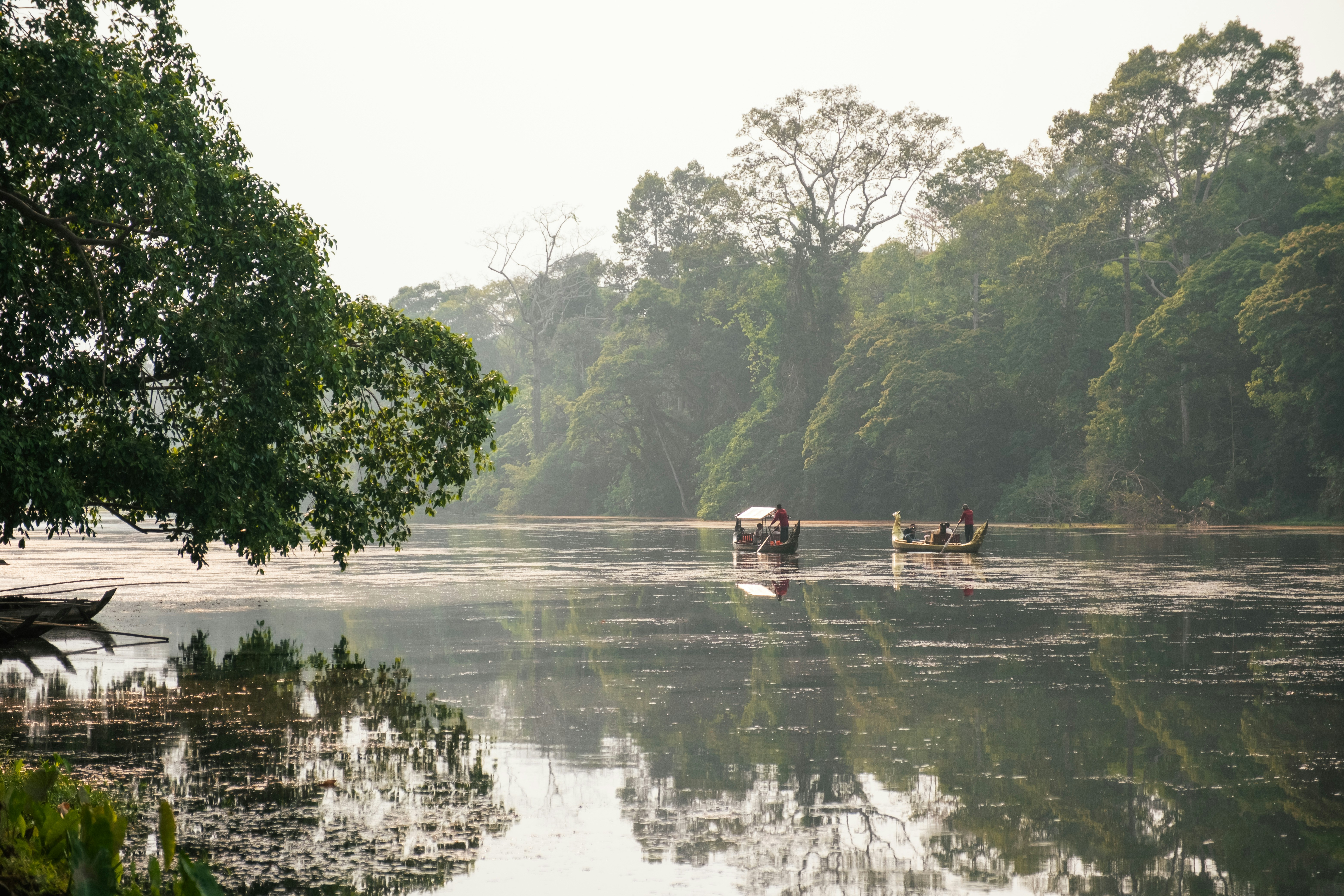 Cardamom Mountains, Cambodia