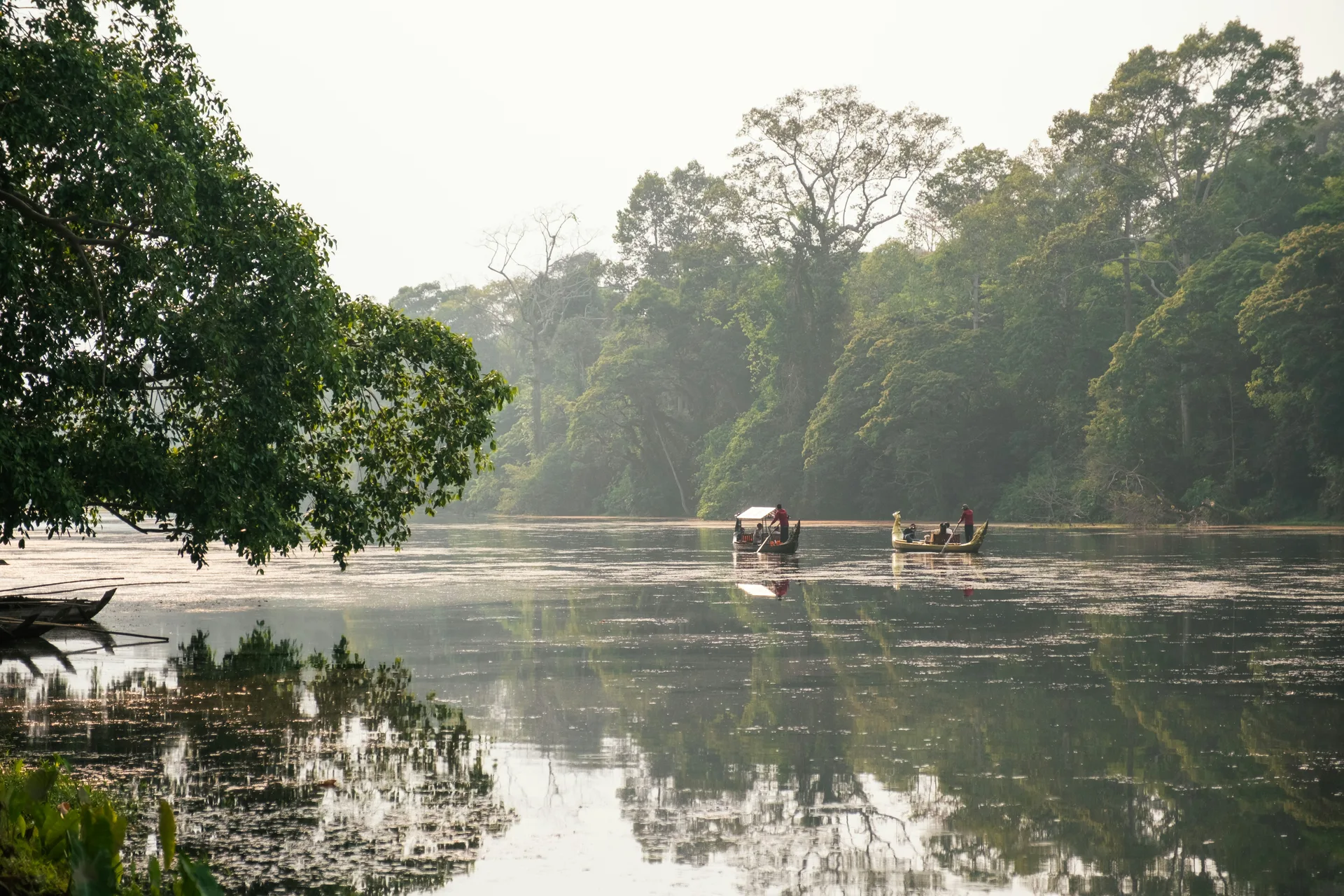 Cardamom Mountains, Cambodia