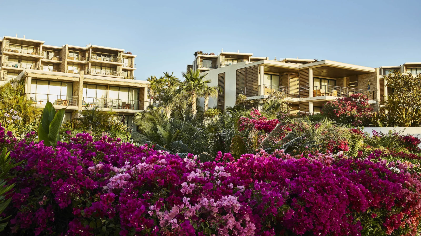 Chileno Bay Resort & Residences, Auberge Resorts Collection