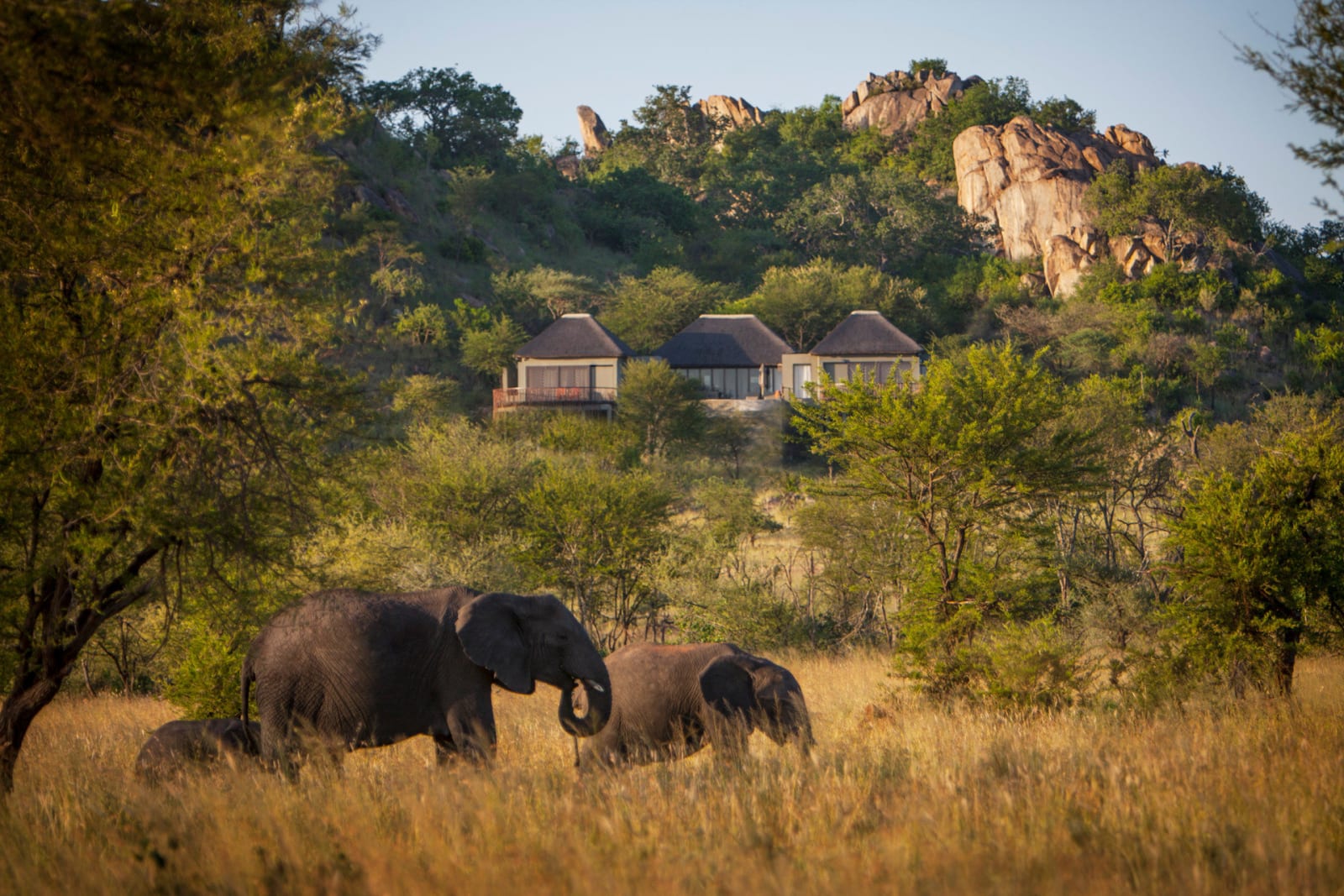Four Seasons Safari Lodge Serengeti, Central Serengeti, Tanzania