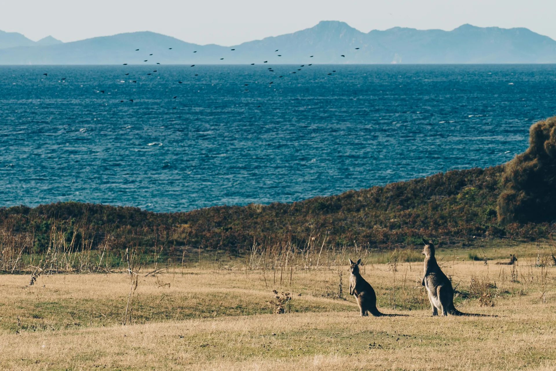 Kangaroo Island, Australia