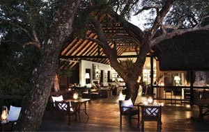 Londolozi Game Reserve