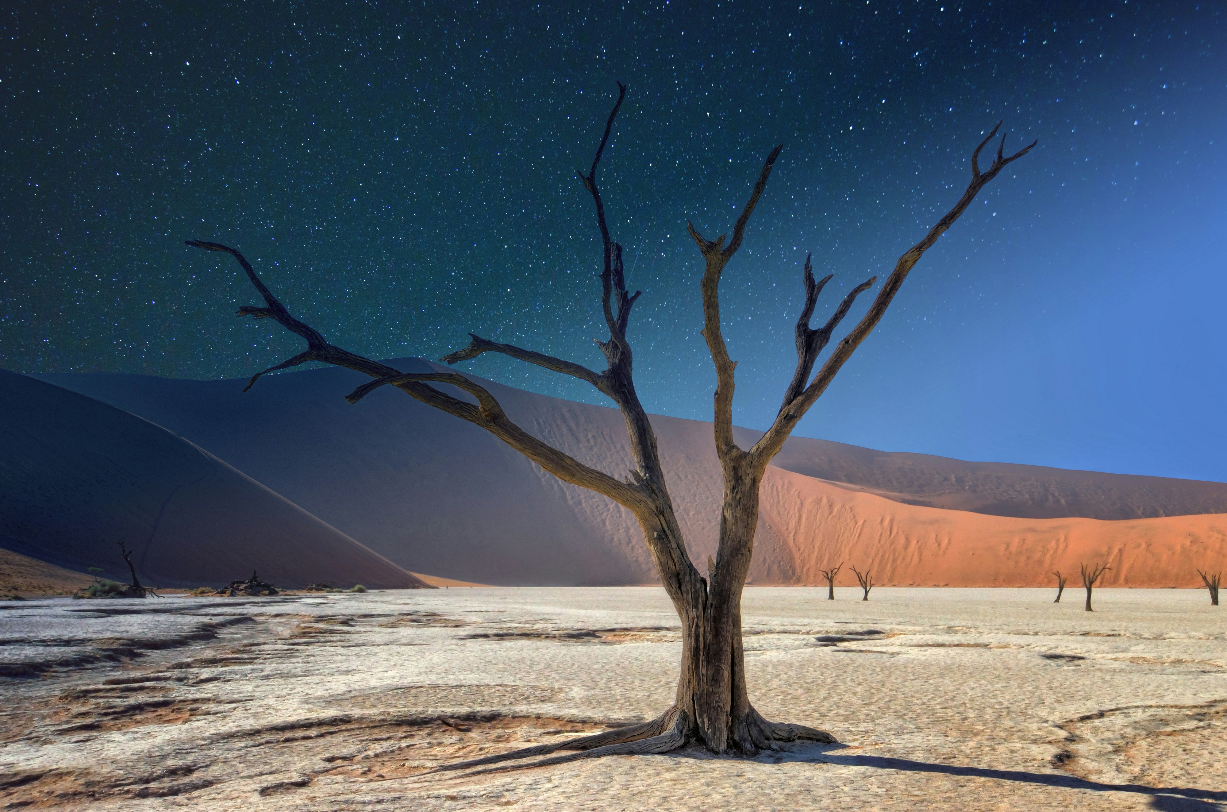 Namib Desert, Namibia