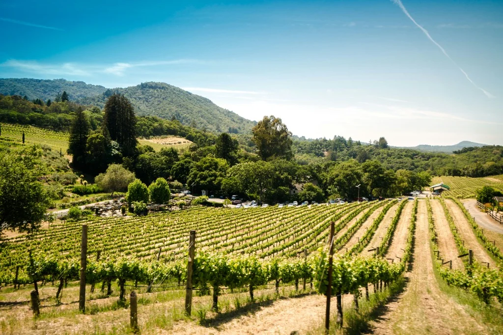 Napa Valley & Sonoma Coast, California