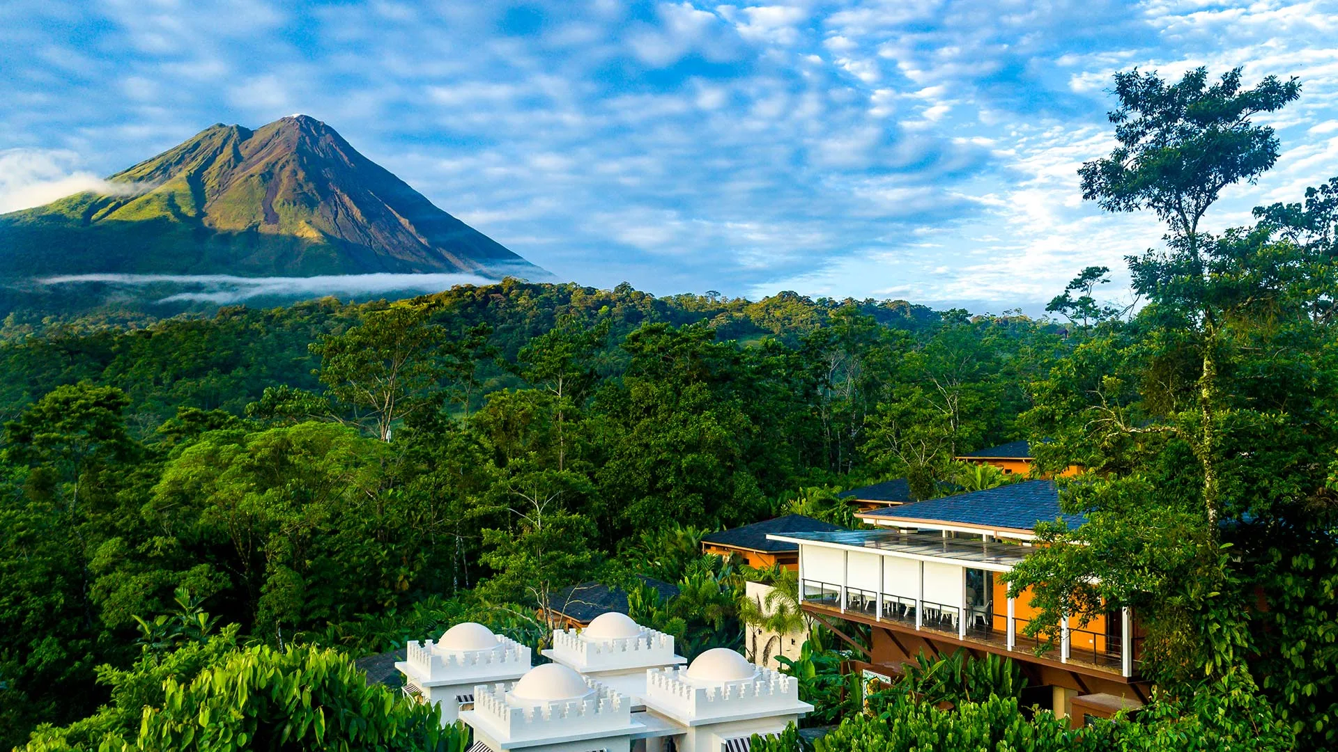 Honeymoons