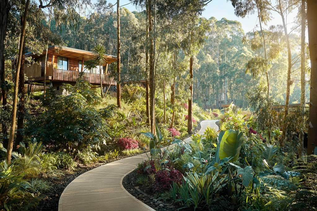 One&Only Gorilla's Nest, Kinigi, Rwanda