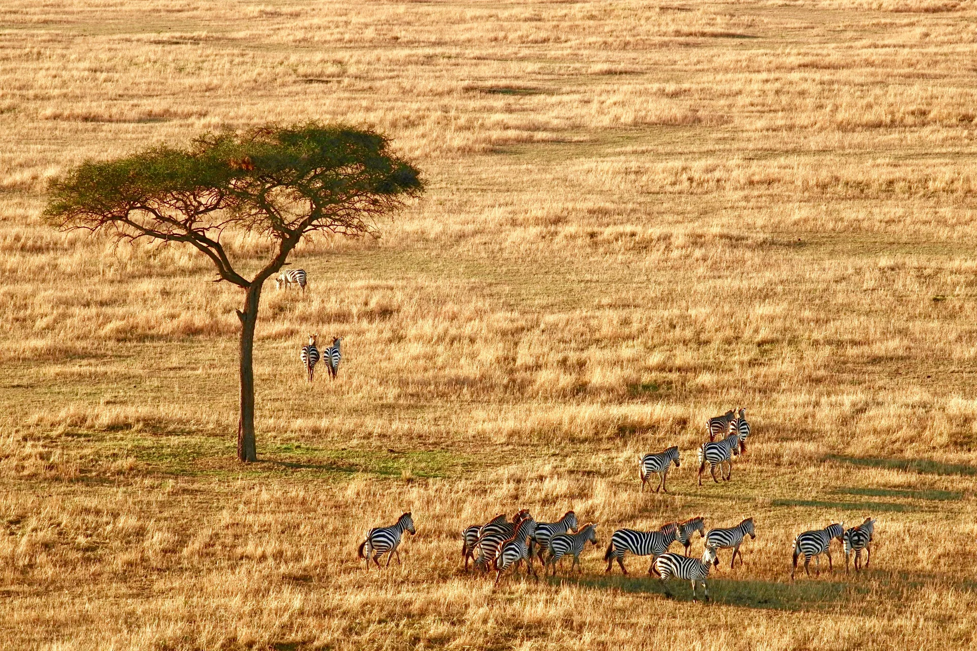 Serengeti, Tanzania